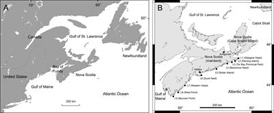 Biogeography of algae and invertebrates from wave-exposed rocky intertidal habitats along the Atlantic coast of Nova Scotia (Canada): Latitudinal and interannual patterns and possible underlying drivers